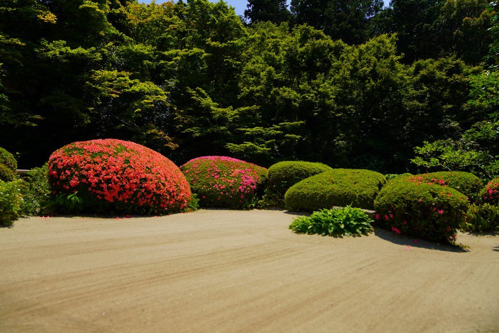 ARREDAMENTO DESIGN NATURALE