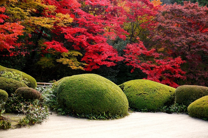 ARREDAMENTO DI DESIGN NATURALE